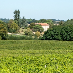 Domaine UBY