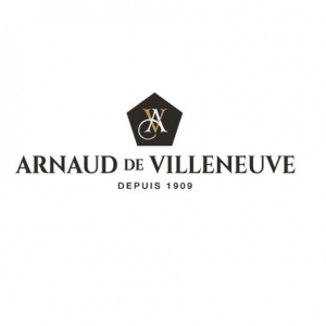 Arnaud de Villeneuve 