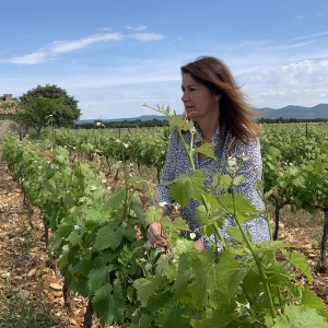 Domaine Caroline Bonnefoy