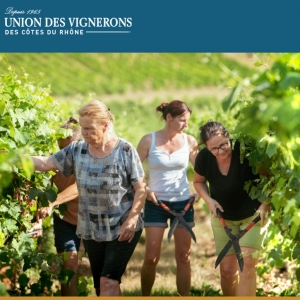 Union des Vignerons Des Côtes du Rhône
